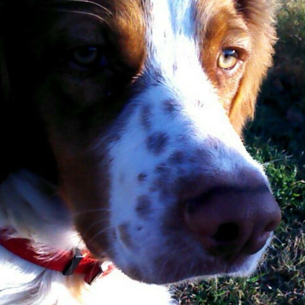 Meet your Posher, Katherine